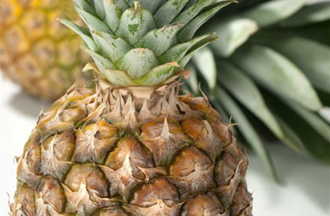 Pineapple thumbnail a470ffbd 5e8b 4001 9f63 f28d1f5465ed 0 146x128